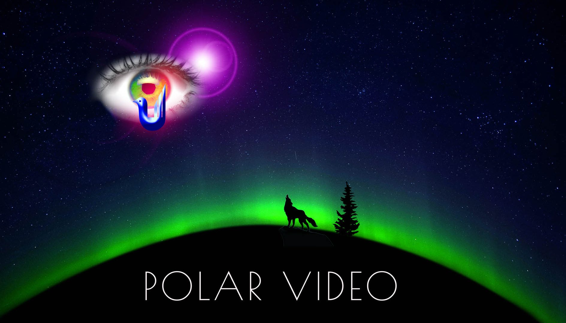 Polar Video